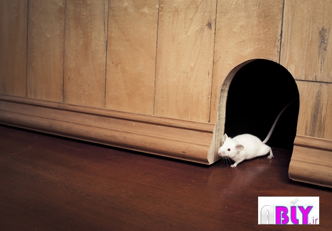 Get Back to the Visual Studio Editor Window Without the Mouse